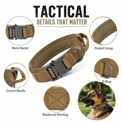 Heavy-Duty Tactical Dog Collar – Padded Handle Control