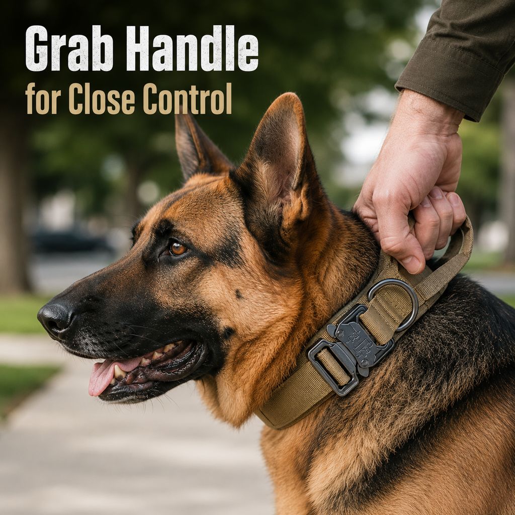 Heavy-Duty Tactical Dog Collar – Padded Handle Control