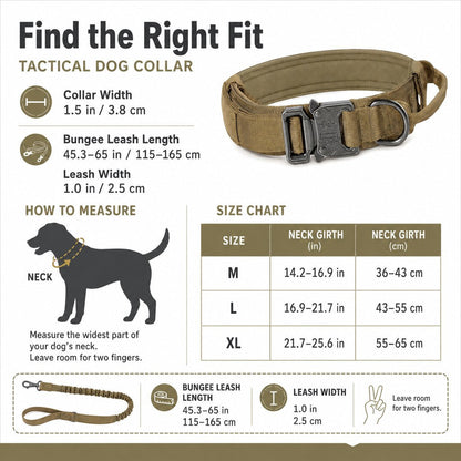 Heavy-Duty Tactical Dog Collar – Padded Handle Control
