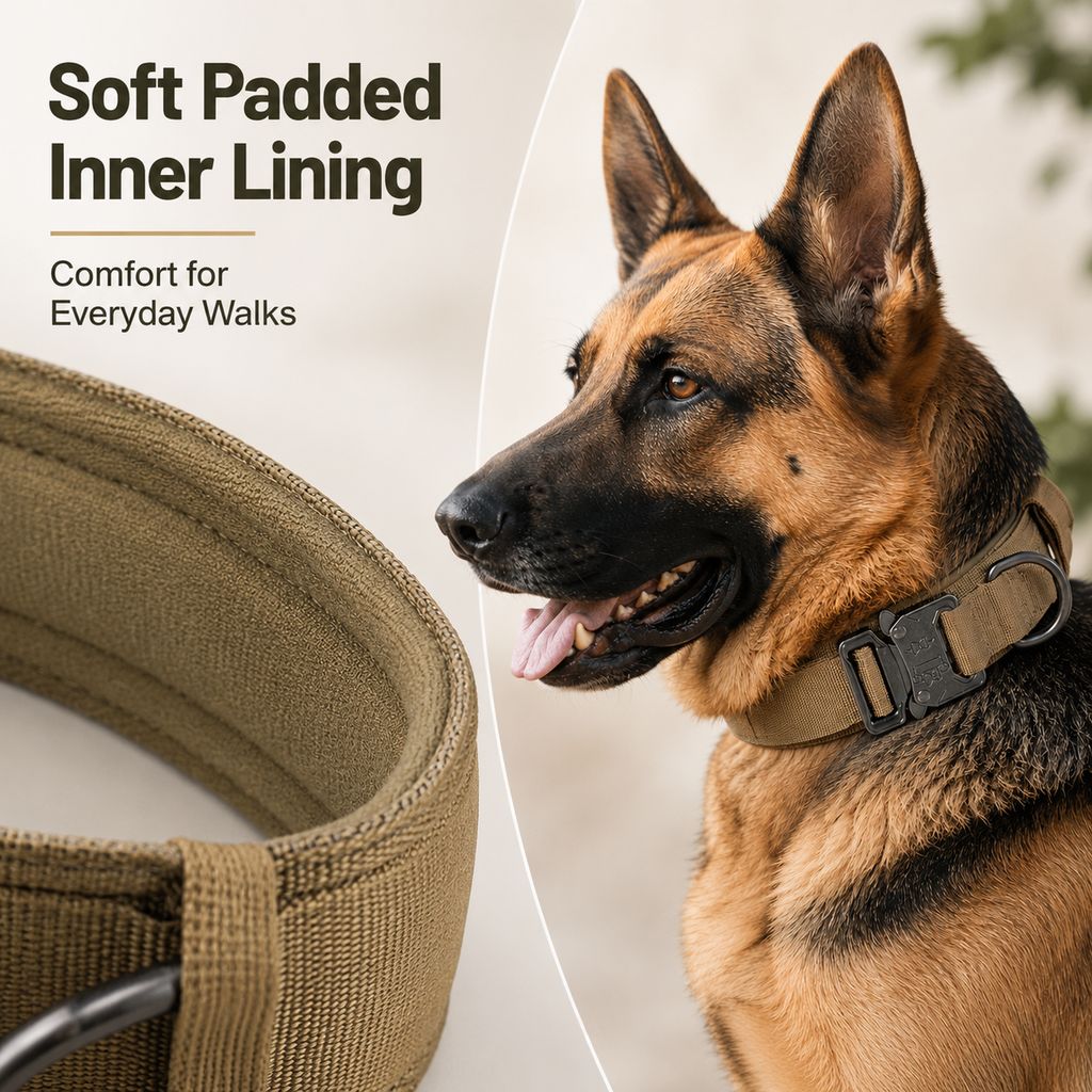 Heavy-Duty Tactical Dog Collar – Padded Handle Control