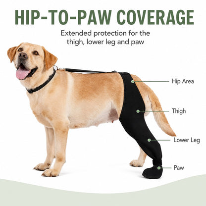 Rear Leg Recovery Sleeve with Paw Cover – Limits Licking