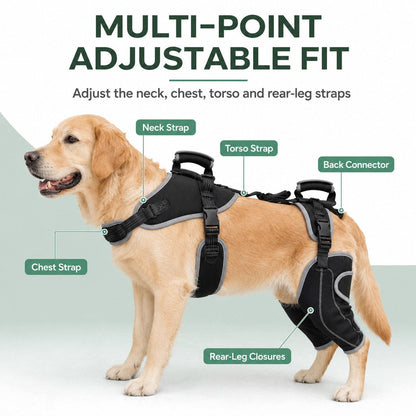 Full-Body Lift Harness – Dual Rear-Leg Support