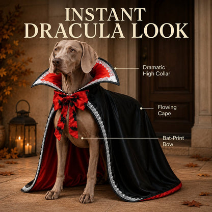Dracula Dog Cape – Stand-Up Collar Costume