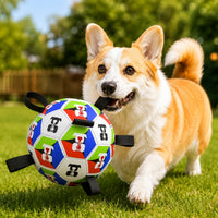 World Cup Print