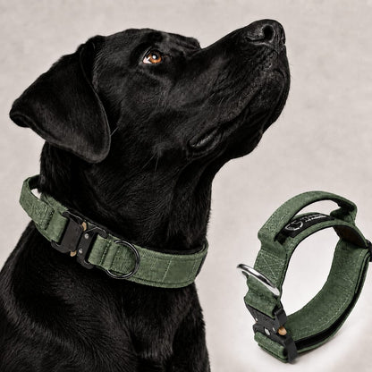 Tactical Dog Collar with Handle – Control for Strong Pullers