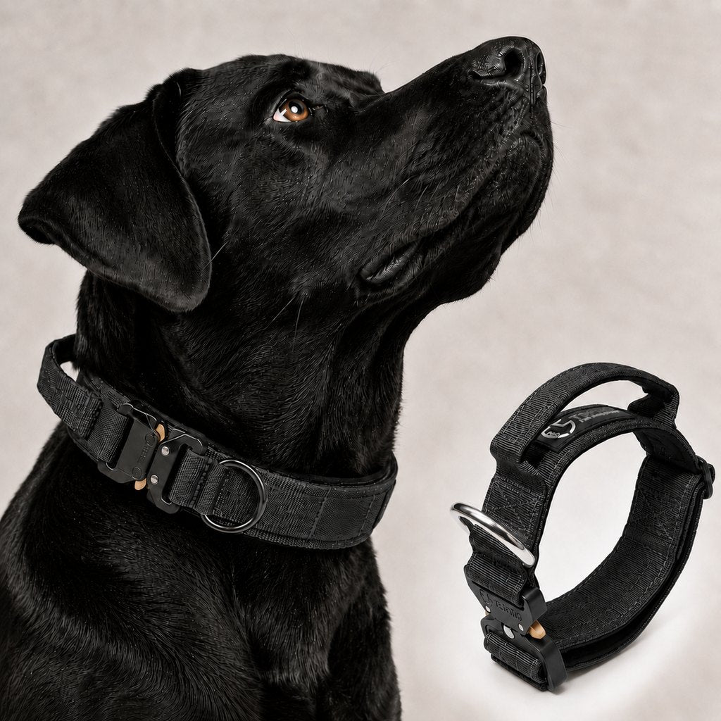 Tactical Dog Collar with Handle – Control for Strong Pullers