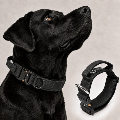 Tactical Dog Collar with Handle – Control for Strong Pullers