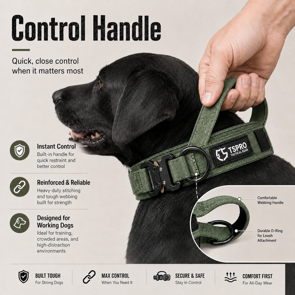 Tactical Dog Collar with Handle – Control for Strong Pullers