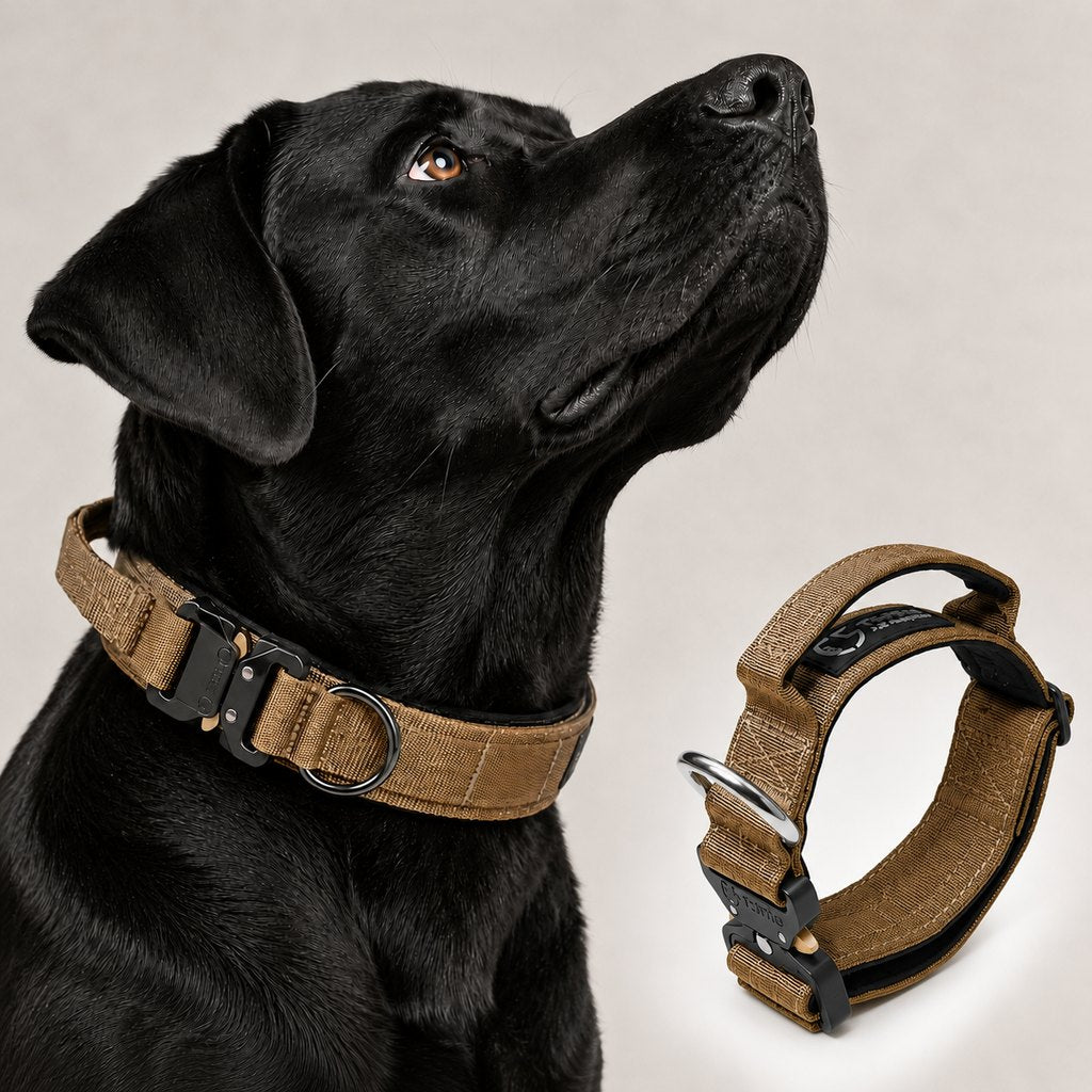 Tactical Dog Collar with Handle – Control for Strong Pullers