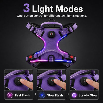 Rechargeable LED Dog Harness – Glow for Night Walks