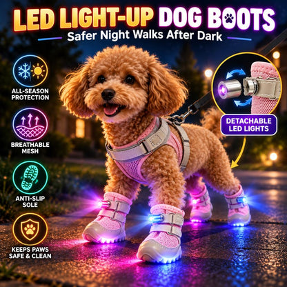 LED Light-Up Dog Boots – Safe Night Walks
