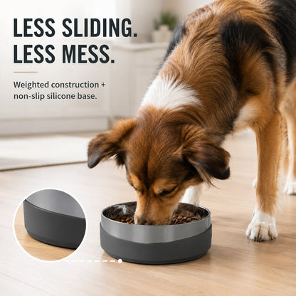 Weighted Non-Slip Pet Bowl – No Sliding or Mess
