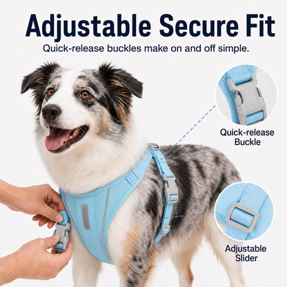 Reflective No-Pull Dog Harness – Safe Night Walks