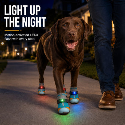 Motion-Activated LED Dog Boots – Visible at Night