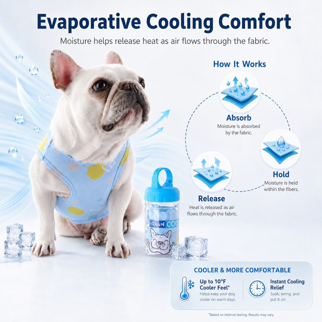 Frenchie Cooling Vest – Cooler Hot Summer Walks