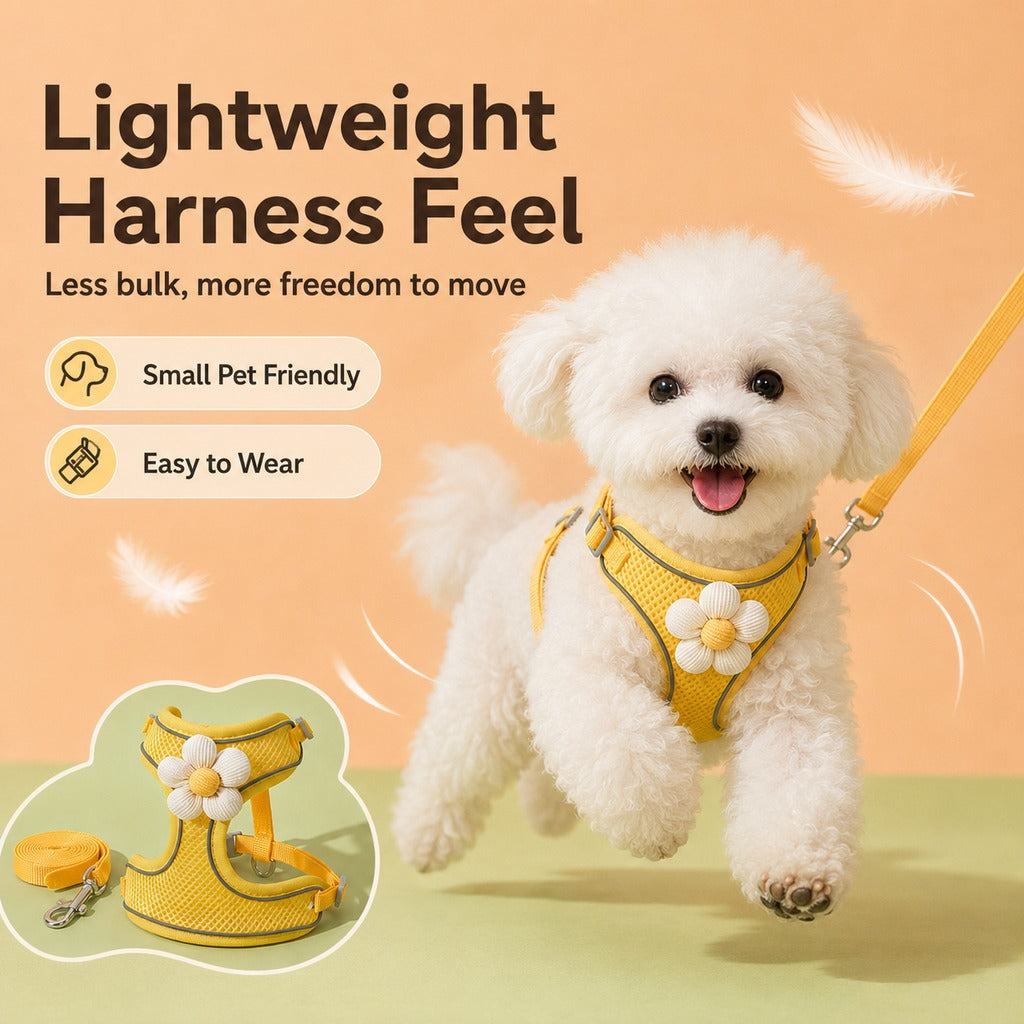 Daisy Pet Harness & Leash Set – Breathable Daily Comfort