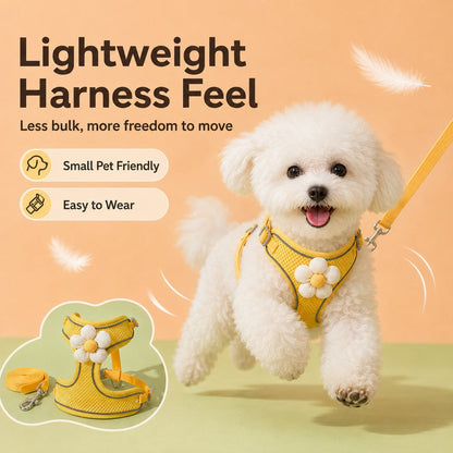 Daisy Pet Harness & Leash Set – Breathable Daily Comfort