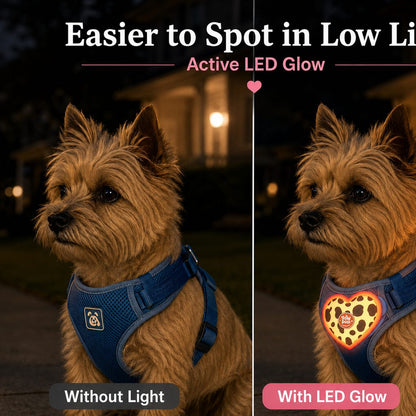 Heart LED Pet Safety Light – Visible on Night Walks