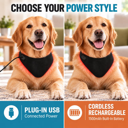 Red Light Dog Neck Wrap – 42 LEDs