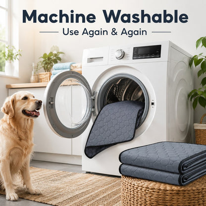 Washable Pet Pee Pad – Absorbent Non-Slip Mat