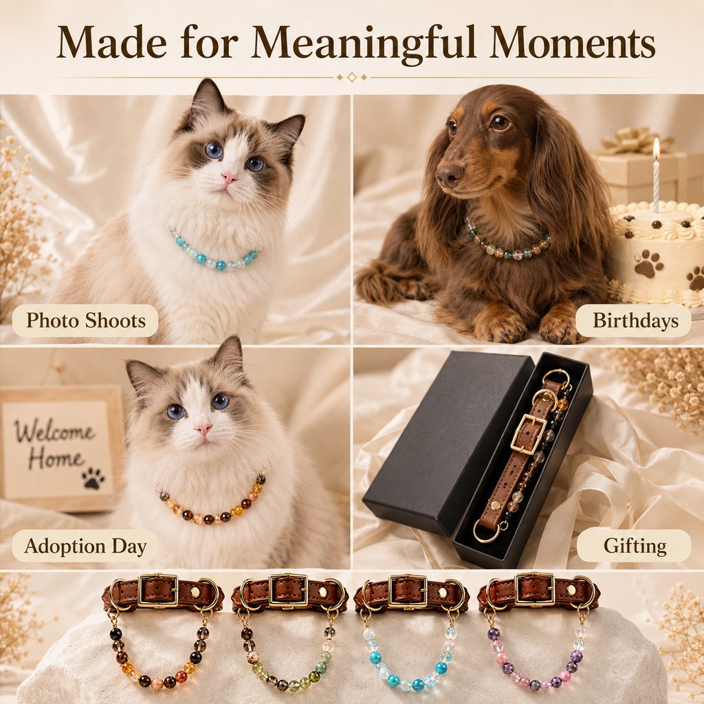 Crystal Pet Collar Gift Box – Photo-Ready Pet Jewelry