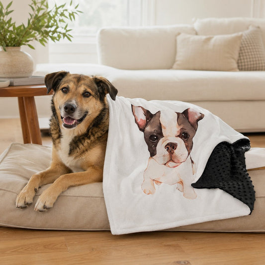 Layered Minky Pet Blanket – Soft Comfort Anywhere