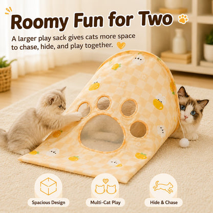 Cat Crinkle Play Sack – Hide & Pounce Fun