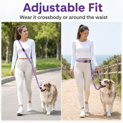 Hands-Free Bungee Dog Leash – Less Pulling on Runs