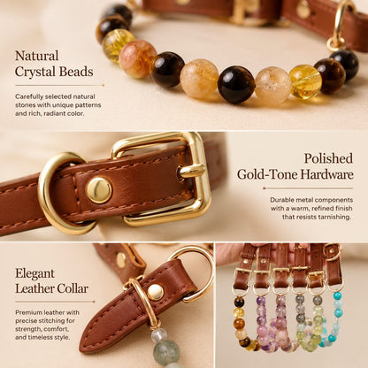 Crystal Pet Collar Gift Box – Photo-Ready Pet Jewelry
