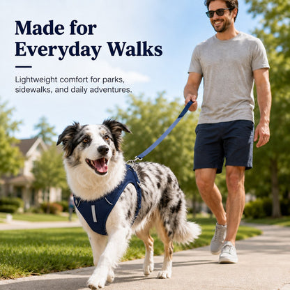 Reflective No-Pull Dog Harness – Safe Night Walks