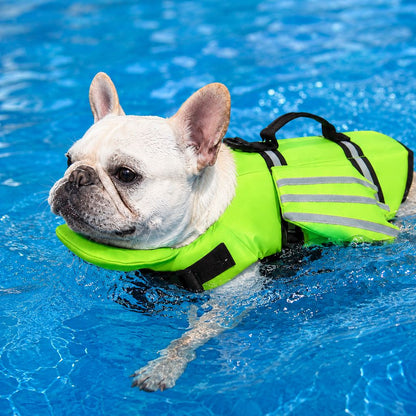 Frenchie Dog Life Jacket – Chin Float for Safe Swims