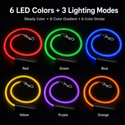 LED Light-Up Dog Leash – Rechargeable Night Safety