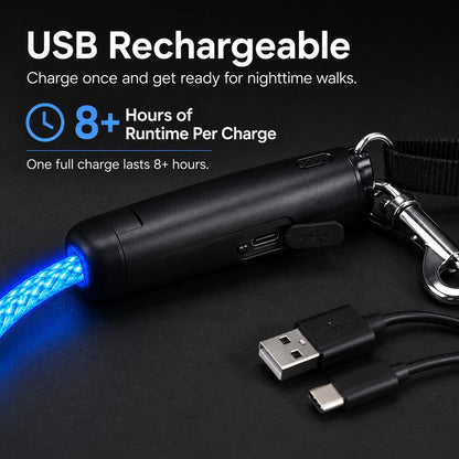 LED Light-Up Dog Leash – Rechargeable Night Safety