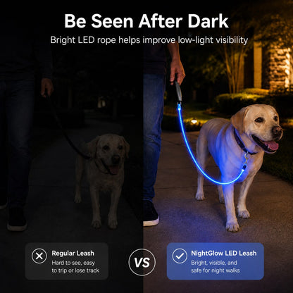 LED Light-Up Dog Leash – Rechargeable Night Safety
