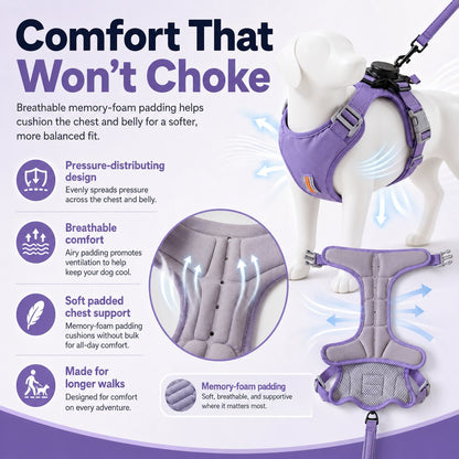 2-in-1 No-Pull Harness – Built-In Retractable Leash