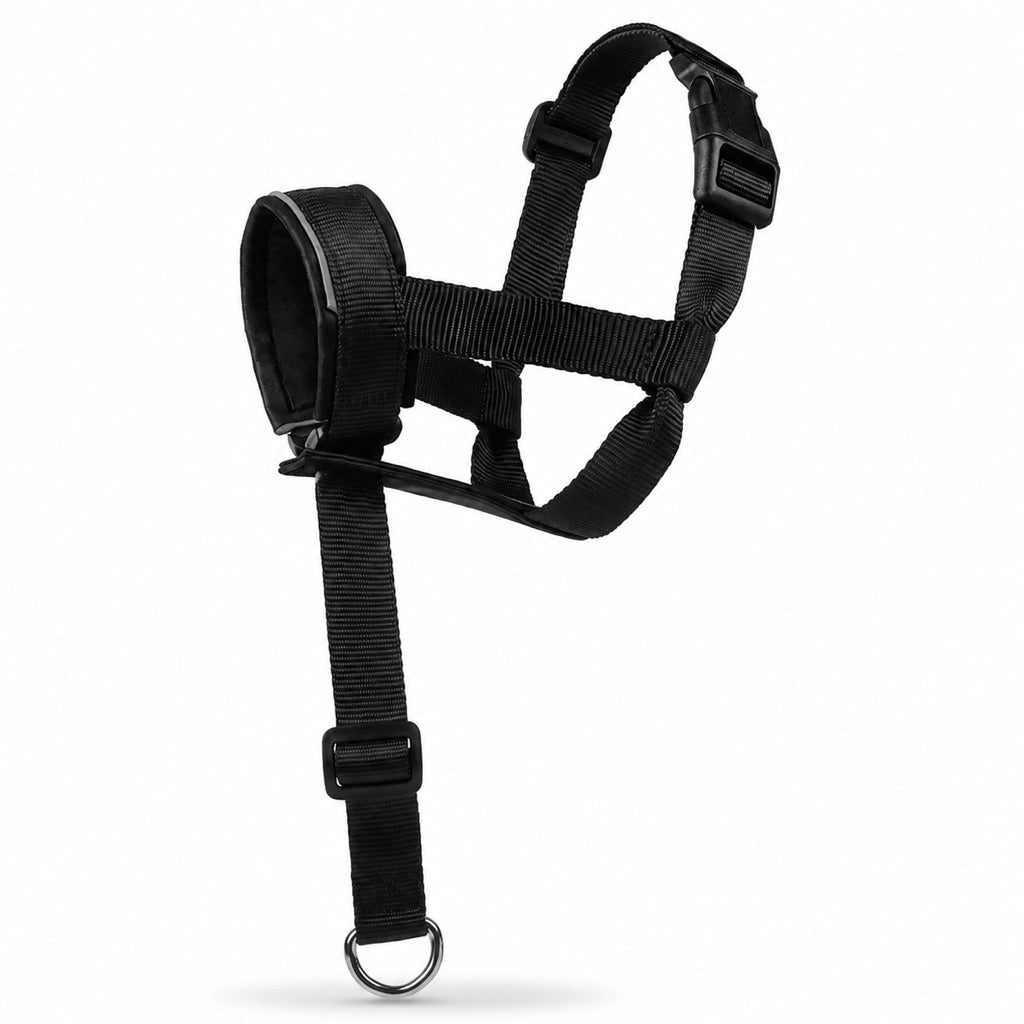No-Pull Dog Head Halter – Calmer Daily Walks