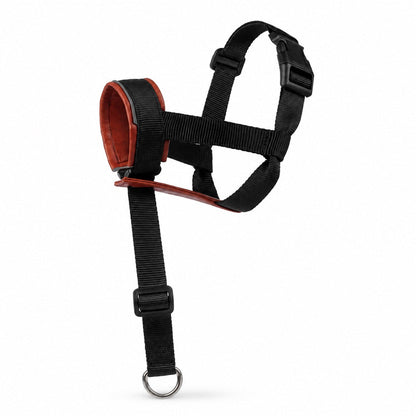 No-Pull Dog Head Halter – Calmer Daily Walks