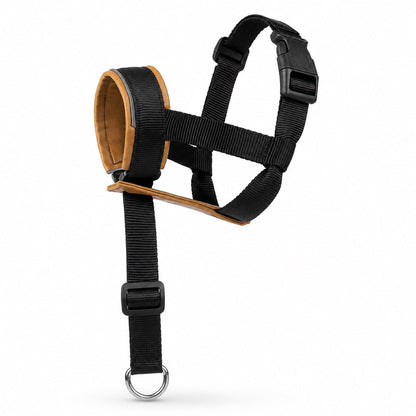 No-Pull Dog Head Halter – Calmer Daily Walks
