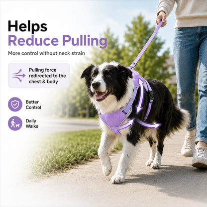 No-Pull Harness with Built-In Leash – Reflective & Safe