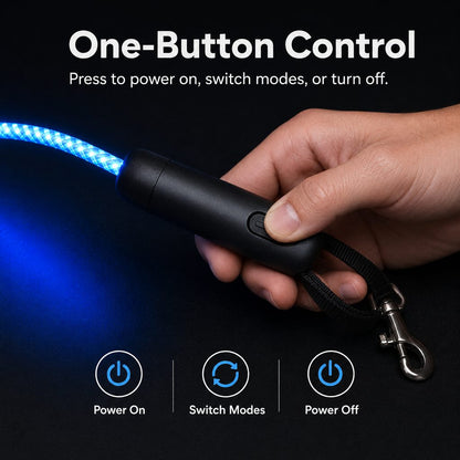 LED Light-Up Dog Leash – Rechargeable Night Safety