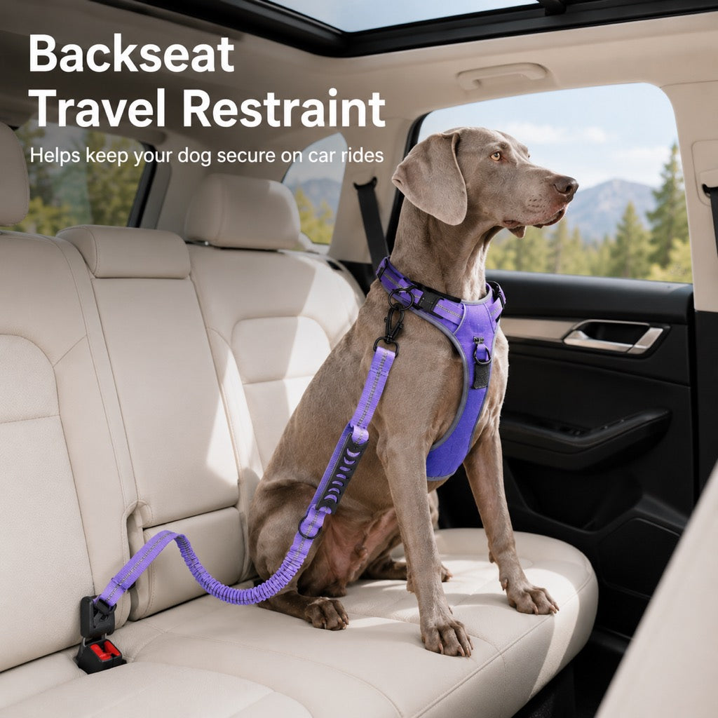 Dog Car Seat Belt Leash – Shock-Absorbing Safety