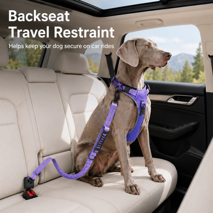 Dog Car Seat Belt Leash – Shock-Absorbing Safety