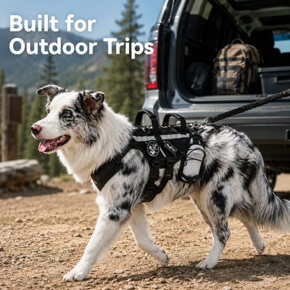 Outdoor Dog Harness & Bungee Leash Set – Hike Ready