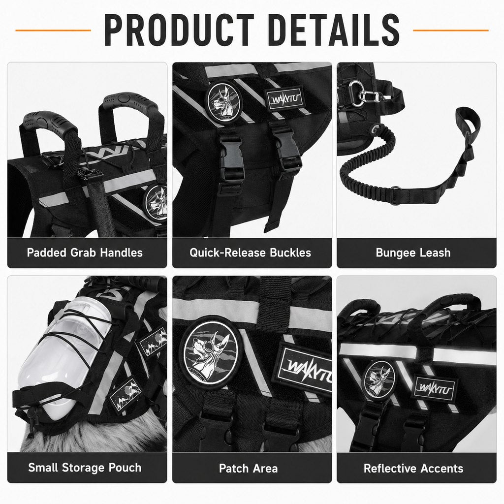 Outdoor Dog Harness & Bungee Leash Set – Hike Ready