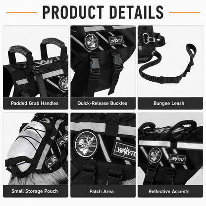 Outdoor Dog Harness & Bungee Leash Set – Hike Ready