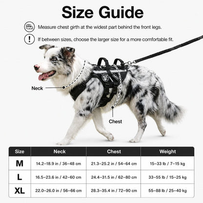 Outdoor Dog Harness & Bungee Leash Set – Hike Ready