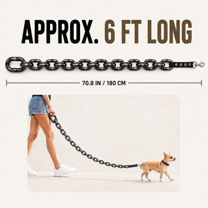 Chain Dog Leash & Collar Set – Bold Everyday Style