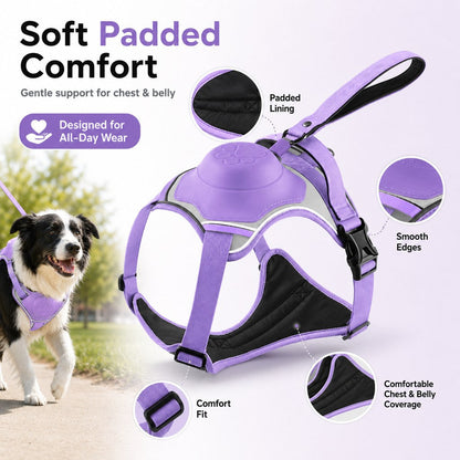 No-Pull Harness with Built-In Leash – Reflective & Safe