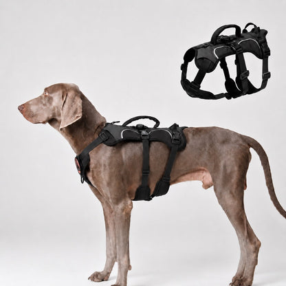 AirTag Escape-Proof Dog Harness – Secure Outdoor Walks