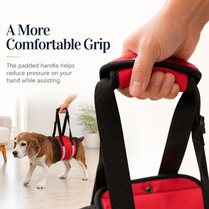 Reflective Dog Lift Sling – Belly Support for Mobility